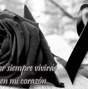 Meet your Posher, Minerva